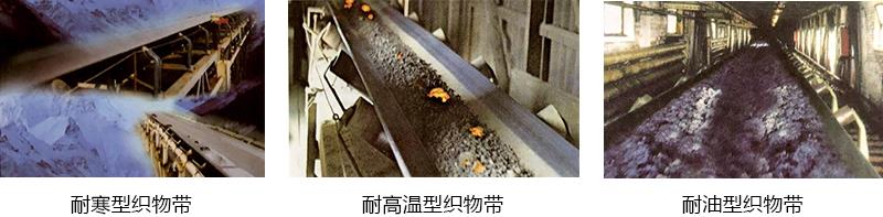 产品详情.jpg